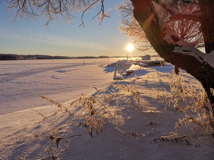 Sonne über winterlichen See