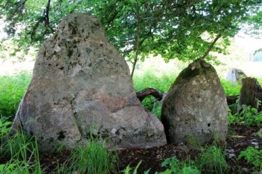 Schottland Steinkreis im Wald